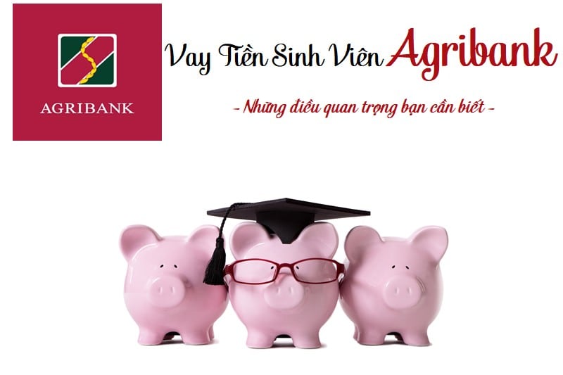 vay tiền ngân hàng agribank cho sinh viên